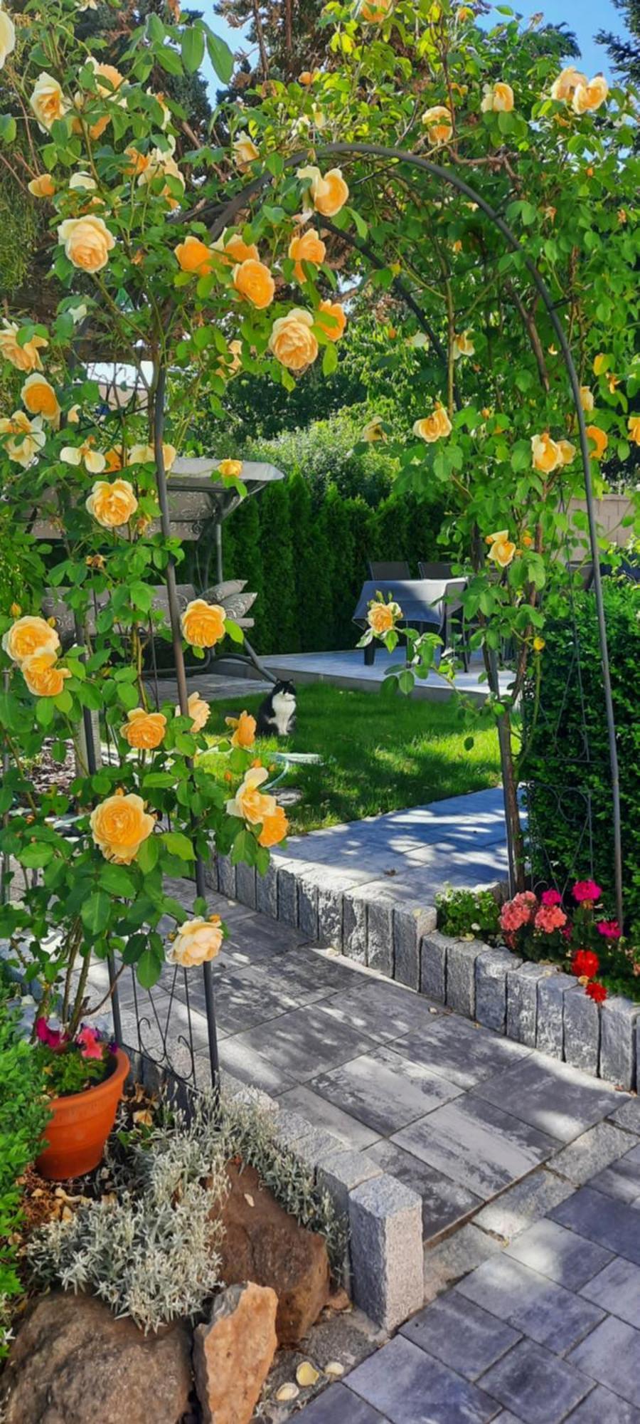 Villa Shafaly Mariánské Lázně Dış mekan fotoğraf