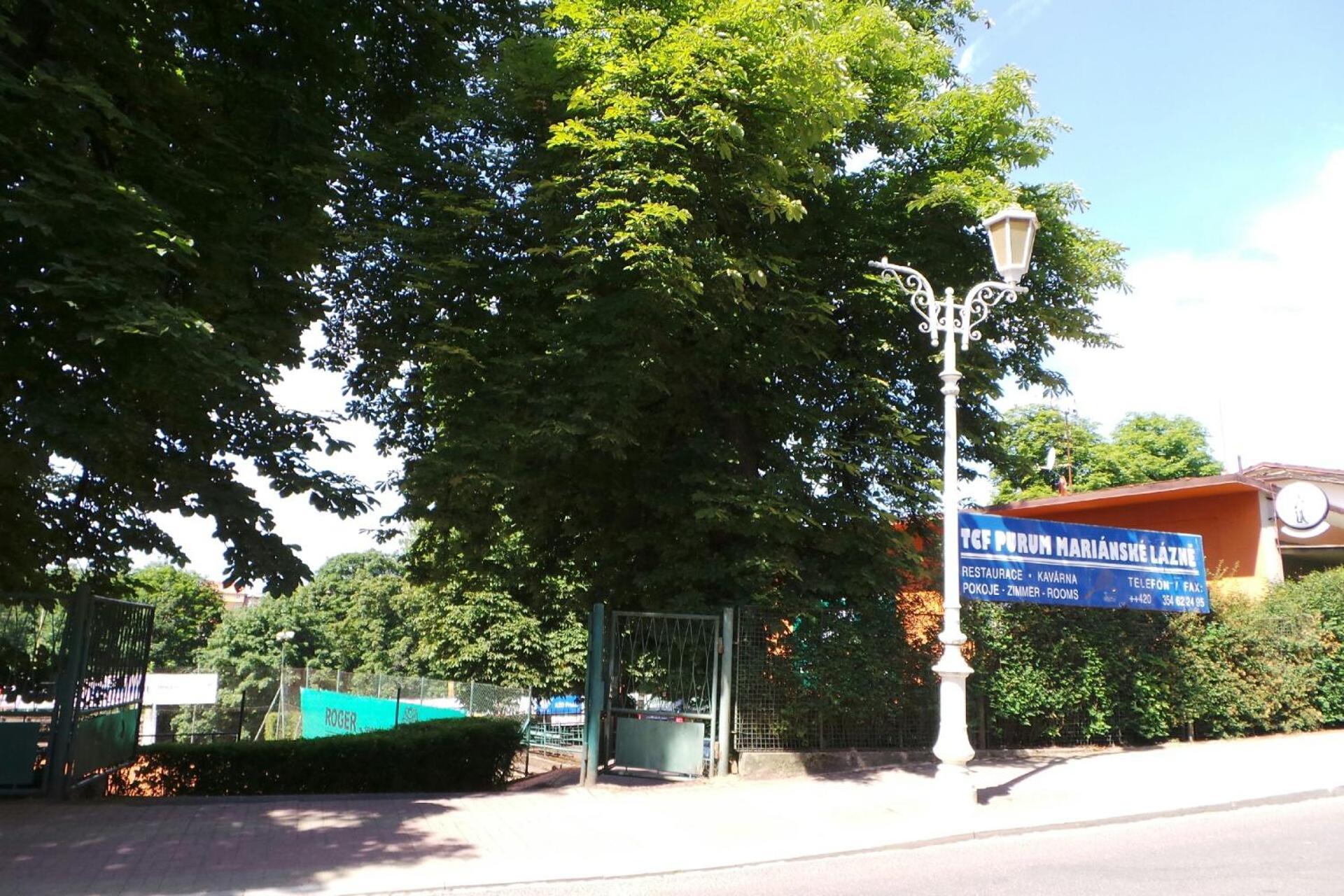 Villa Shafaly Mariánské Lázně Dış mekan fotoğraf