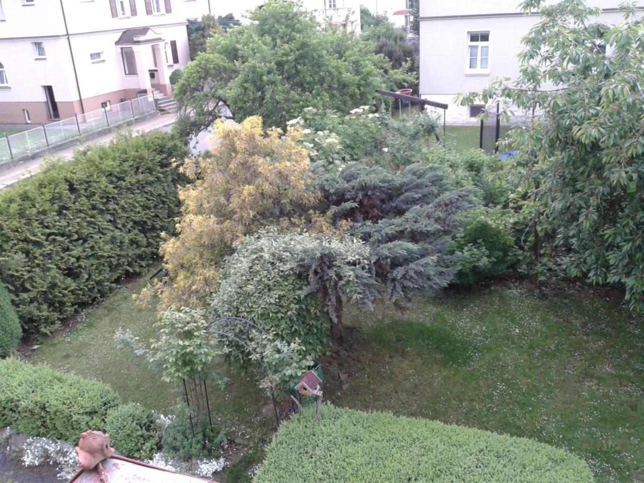 Villa Shafaly Mariánské Lázně Dış mekan fotoğraf
